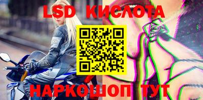 мяу мяу мука Донской