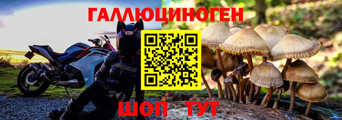 Псилоцибиновые грибы мицелий  Вход с VPN  как найти закладки  Галлюциногенные грибы мухоморы  Истра 